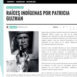 Raíces Indígenas por Patricia Guzmán. Zeltzin Reyna. http://danludens.com/ludens/raices-indigenas-por-patricia-guzman/